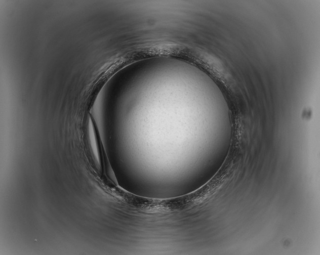 X0000098220258200805011241