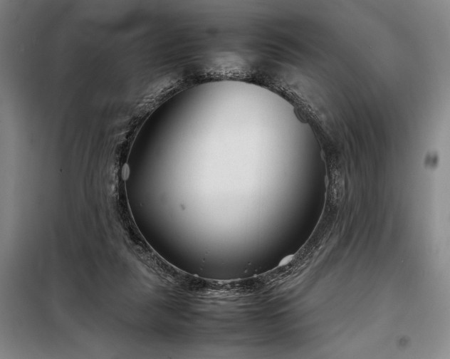 X0000098220259200805011241