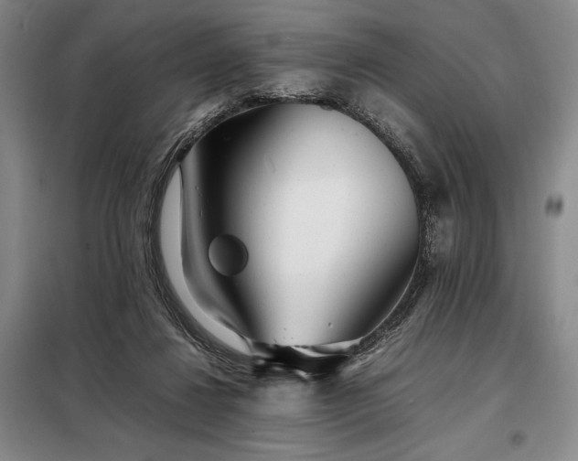 X0000098220260200805011241