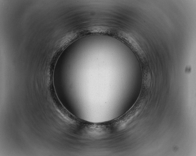 X0000098220261200805011241