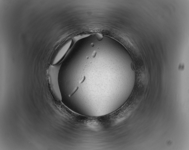 X0000098220262200805011241