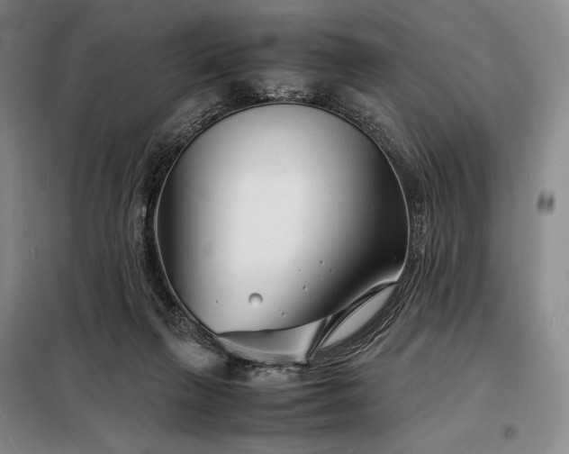 X0000098220263200805011241