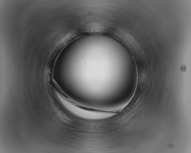 X0000098220264200805011241