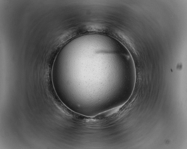 X0000098220265200805011241