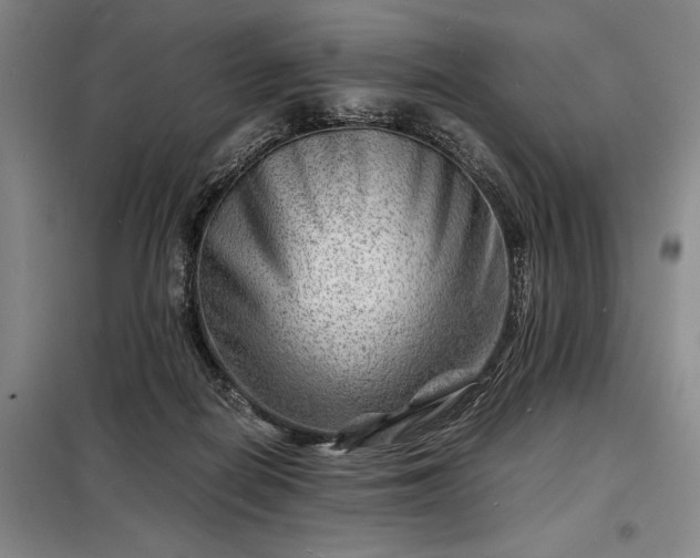 X0000098220266200805011241