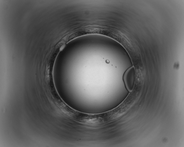 X0000098220267200805011241