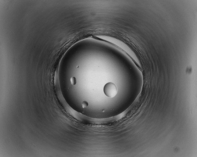 X0000098220268200805011241