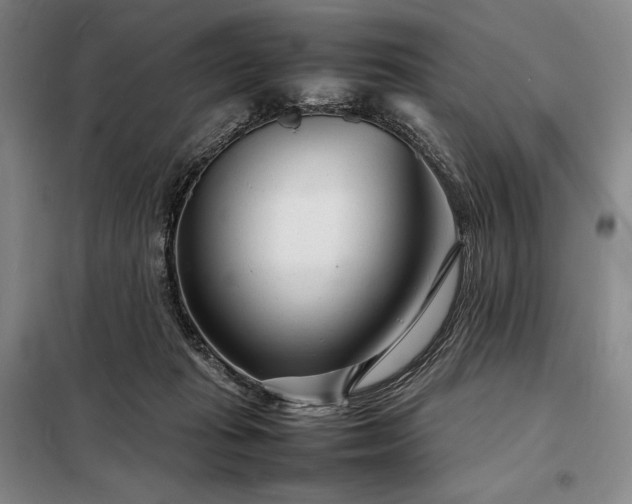 X0000098220269200805011241