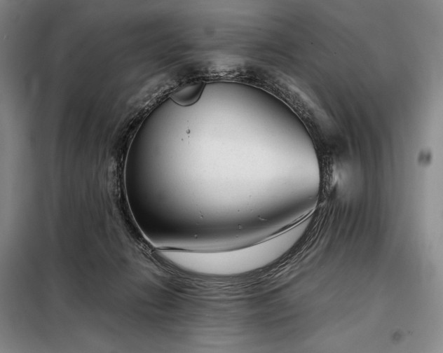 X0000098220270200805011241