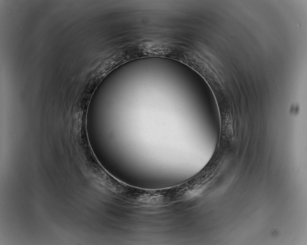 X0000098220271200805011241