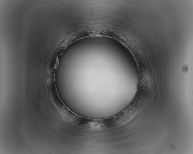 X0000098220272200805011241