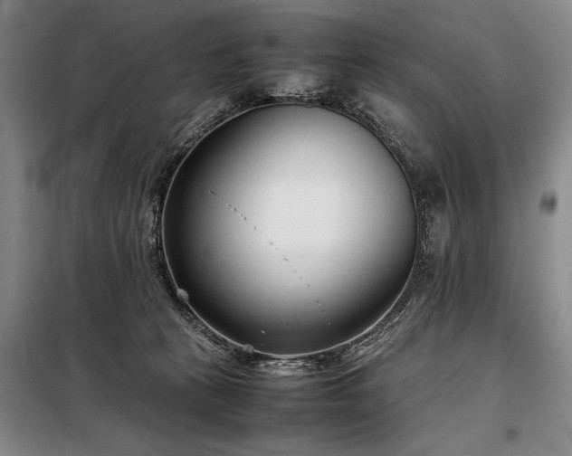 X0000098220273200805011241