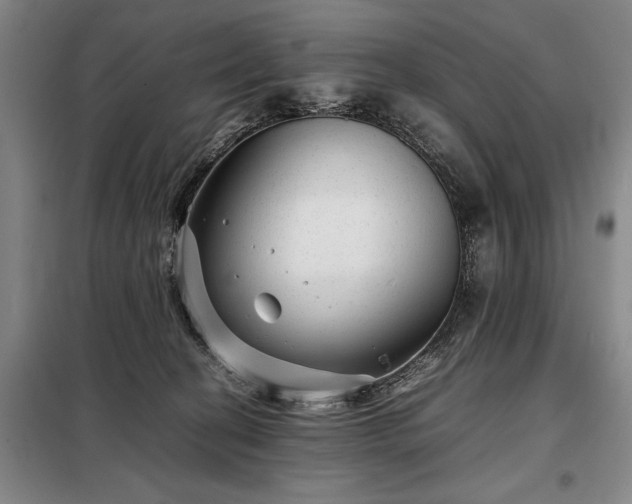 X0000098220274200805011241