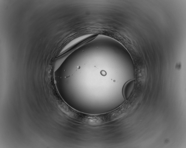 X0000098220275200805011241