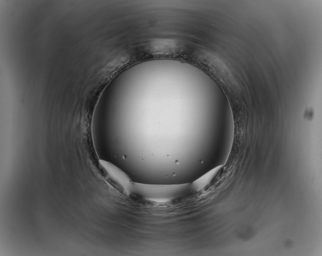 X0000098220277200805011241