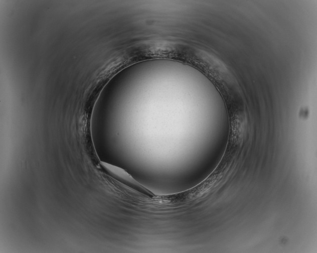 X0000098220278200805011241