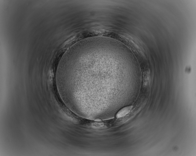 X0000098220279200805011241