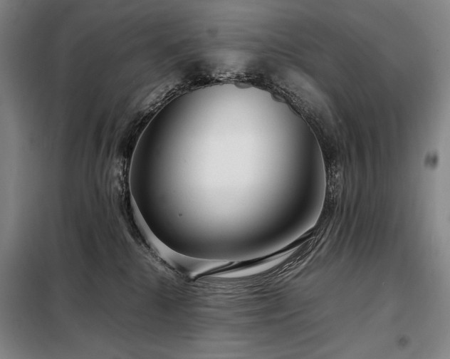 X0000098220280200805011241