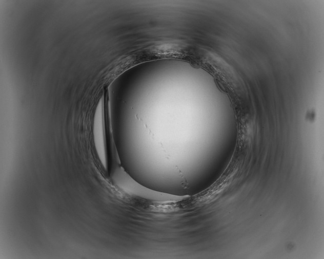 X0000098220281200805011241