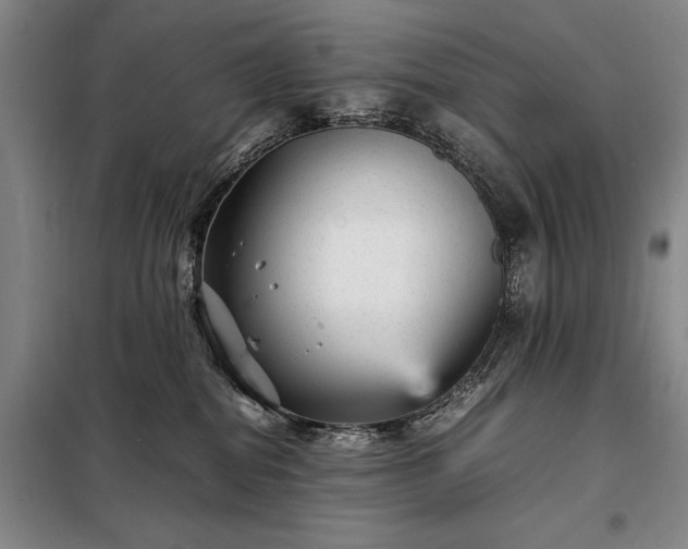 X0000098220282200805011241