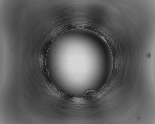 X0000098220283200805011241