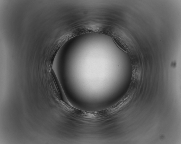 X0000098220285200805011241