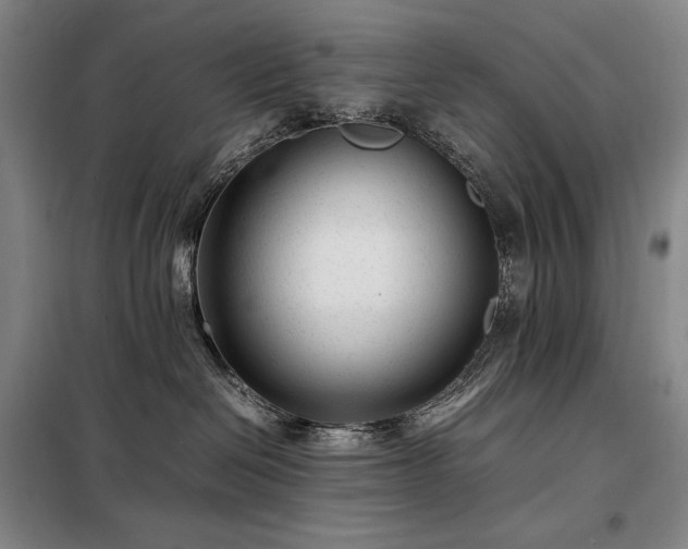 X0000098220286200805011241