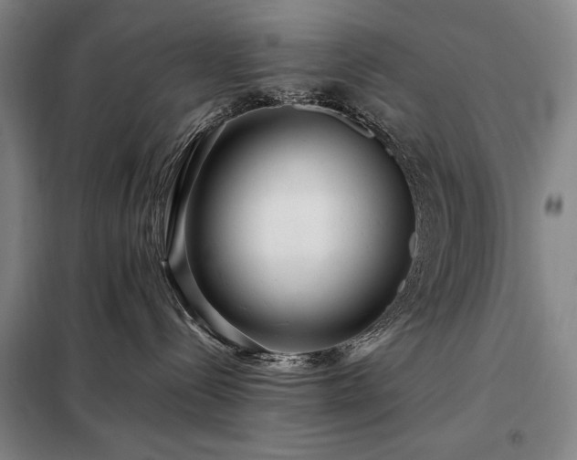 X0000098220288200805011241