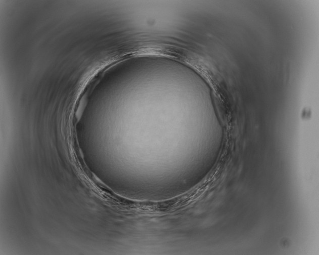 X0000098220289200805011241