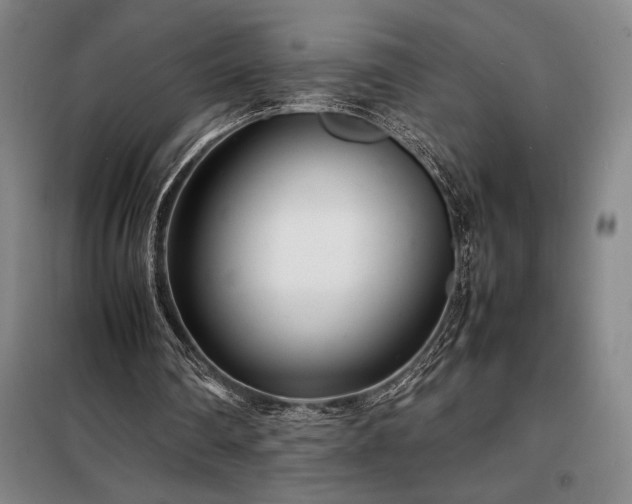 X0000098220290200805011241