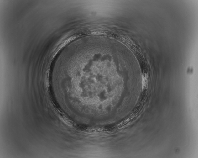 X0000098220291200805011241