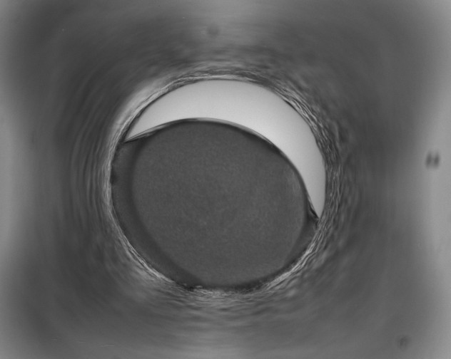 X0000098220293200805011241