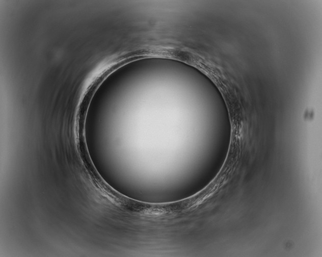 X0000098220294200805011241