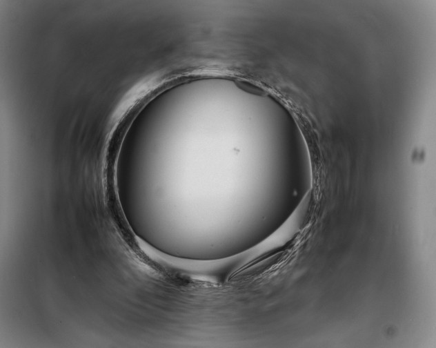 X0000098220296200805011241