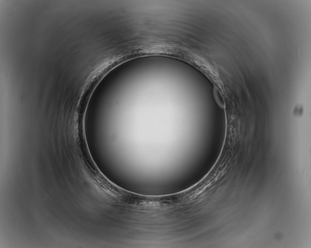 X0000098220298200805011240