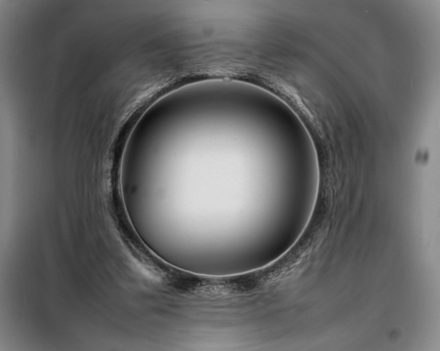 X0000098220299200805011240