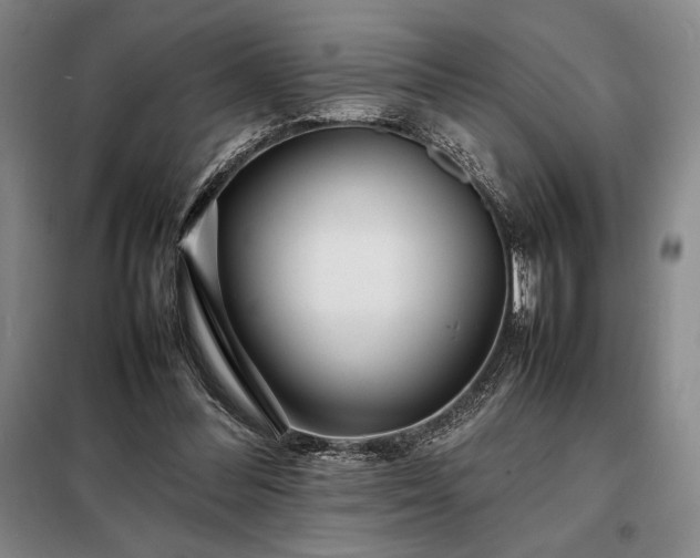 X0000098220300200805011240