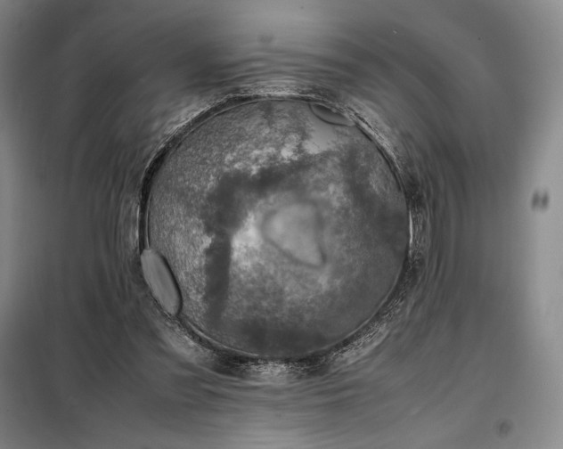 X0000098220301200805011240