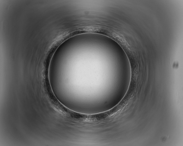 X0000098220303200805011240