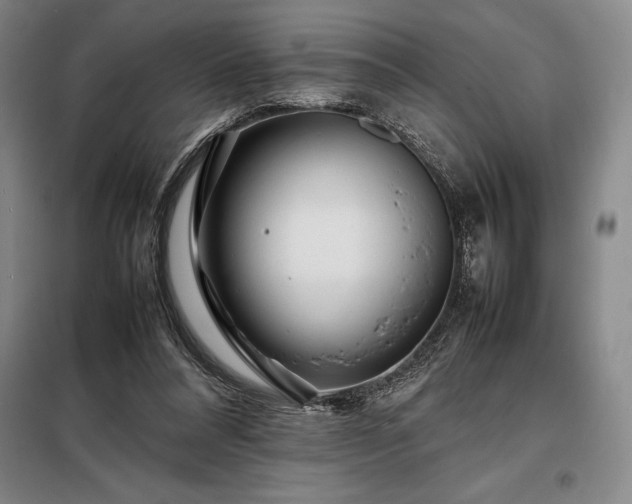 X0000098220304200805011240