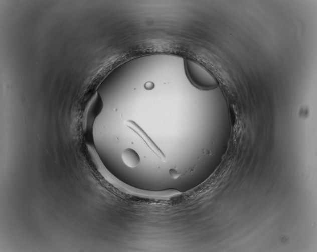 X0000098220306200805011240