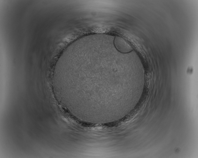 X0000098220307200805011240