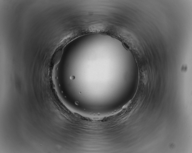 X0000098220308200805011240