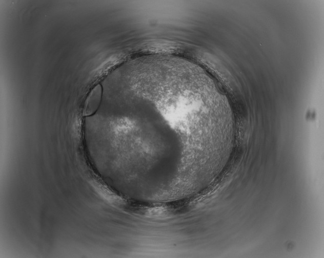 X0000098220309200805011240