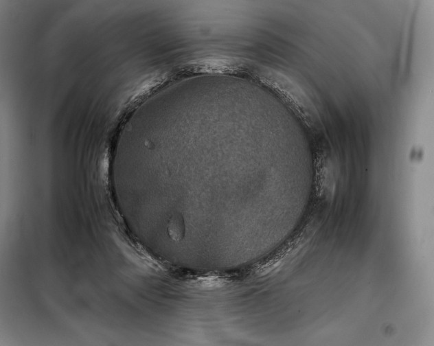 X0000098220310200805011240