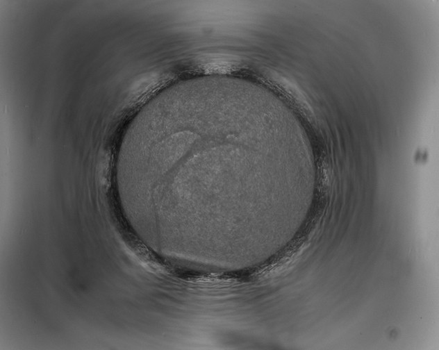 X0000098220311200805011240