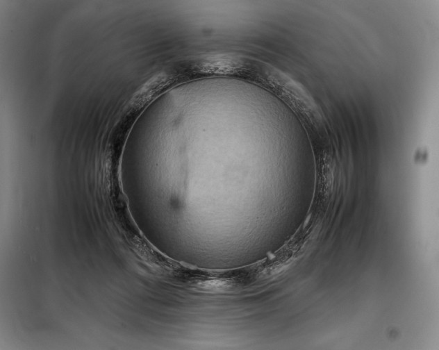 X0000098220312200805011240