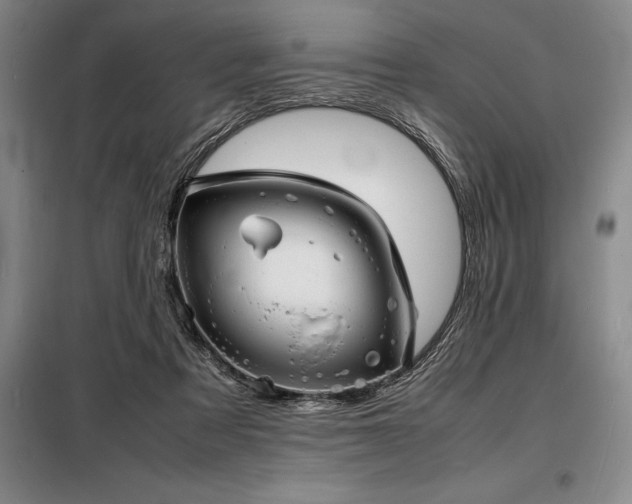 X0000098220313200805011240