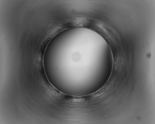 X0000098220314200805011240