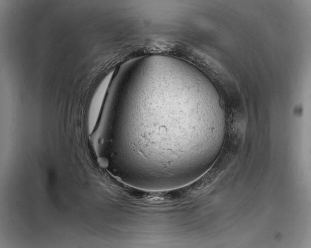 X0000098220315200805011240